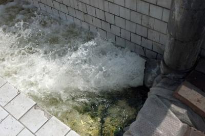 淀粉類處理廠家